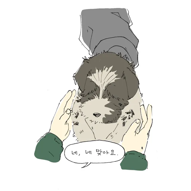 위에서 본 컷, 초록색 소매의 두 손이 회색 팔에게서 개를 건네받으려 뻗어 있다.