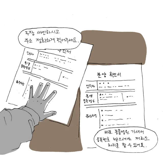갈색 바닥에 분양 확인서 두 장이 놓여 있고 회색 손이 한 장을 짚고 있다.
