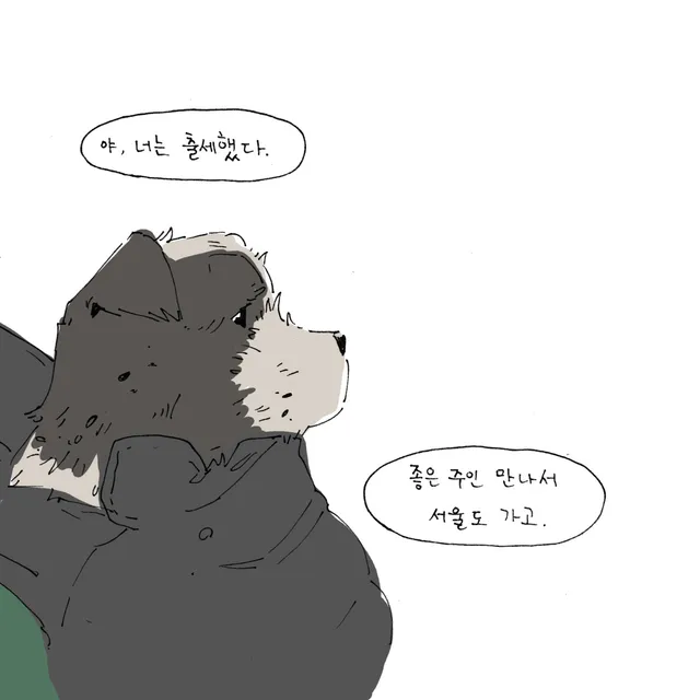 이동가방 가장자리에 턱을 얹은 개의 머리 클로즈업, 옆쪽을 보고 있다.