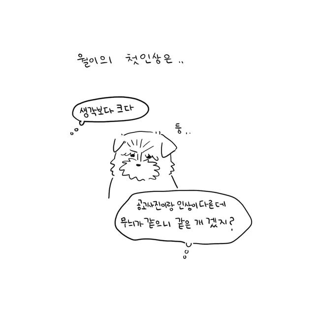 펜으로 그린 털 많은 개의 얼굴과 그 주위의 생각 풍선 세 개.
